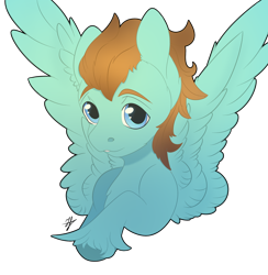 Size: 3186x3258 | Tagged: safe, artist:daniil_gasan, imported from derpibooru, oc, oc only, oc:luck rock, pegasus, pony, digital art, high res, hoof fluff, male, signature, simple background, smiling, solo, spread wings, stallion, transparent background, wings, ych result