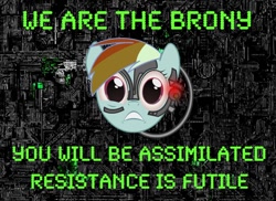 Size: 800x582 | Tagged: safe, imported from derpibooru, rainbow dash, borg, borg cube, caption, image macro, locutus, meme, resistance is futile, star trek, text