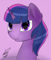 Size: 1195x1415 | Tagged: safe, artist:skysoundslunar, deleted from derpibooru, imported from derpibooru, twilight sparkle, pony