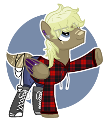 Size: 842x970 | Tagged: safe, artist:sapphireartemis, imported from derpibooru, oc, oc only, oc:tate langdon, pegasus, pony, clothes, converse, male, pants, plaid shirt, shoes, solo, stallion