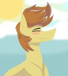 Size: 2312x2594 | Tagged: safe, artist:sapphireartemis, imported from derpibooru, feather bangs, pony, bust, male, portrait, solo