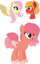 Size: 360x571 | Tagged: safe, artist:klawiee, imported from derpibooru, big macintosh, fluttershy, earth pony, pegasus, pony, coat markings, female, fluttermac, male, offspring, parent:big macintosh, parent:fluttershy, parents:fluttermac, shipping, simple background, socks (coat marking), socks (coat markings), straight, transparent background