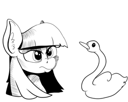 Size: 3401x2718 | Tagged: safe, artist:paskanaakka, derpibooru exclusive, imported from derpibooru, maud pie, swan, black and white, bust, cheek fluff, ear fluff, grayscale, monochrome, portrait, simple background, white background