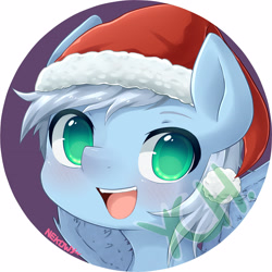 Size: 3491x3494 | Tagged: safe, artist:nekowyn, imported from derpibooru, oc, oc only, oc:arctic breeze, pony, christmas, digital art, hat, high res, holiday, looking at you, male, open mouth, signature, solo, stallion, ych result