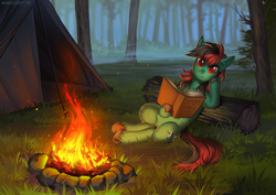 Size: 1273x900 | Tagged: safe, artist:margony, imported from derpibooru, oc, oc only, oc:forest farseer, earth pony, pony, book, campfire, female, fog, forest, grass, looking at you, mare, nature, resting, scenery, sitting, solo, tent, tree