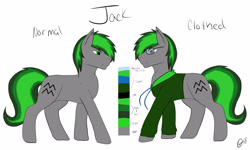 Size: 5000x3000 | Tagged: safe, artist:kensynvalkry, imported from derpibooru, oc, oc:jackorace, earth pony, pony, clothes, glasses, male, multicolored mane, reference sheet, stallion, sweater