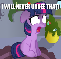 Size: 442x424 | Tagged: safe, imported from derpibooru, twilight sparkle, cannot unsee, caption, frozen in fear, horrified, i need healing, image macro, mortified, reaction image, text