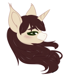 Size: 600x692 | Tagged: safe, artist:sinamuna, imported from derpibooru, oc, oc only, oc:cinnamon fawn, pony, unicorn, blushing, brown hair, bust, female, green eyes, hazel eyes, ponysona, portrait, profile, solo