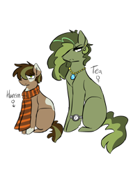 Size: 1024x1365 | Tagged: safe, artist:claire-cooper, imported from derpibooru, oc, oc only, pony, adopted, brown fur, brown hair, clothes, colt, duo, female, green fur, green hair, jewelry, male, mare, mother and son, necklace, pair, scarf, simple background, sitting, transparent background, watch, young