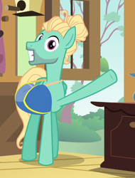 Size: 410x540 | Tagged: safe, imported from derpibooru, screencap, zephyr breeze, pegasus, pony, flutter brutter, cropped, fluttershy's cottage (interior), hair bun, looking at you, male, saddle bag, smiling, solo