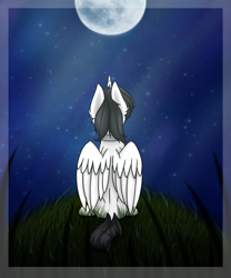 Size: 2500x3000 | Tagged: safe, artist:rskyfly, imported from derpibooru, oc, oc only, oc:shiron, alicorn, pony, alicorn oc, digital art, folded wings, high res, looking up, male, moon, night, signature, sitting, solo, stallion, stars, wings, ych result