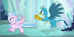 Size: 321x162 | Tagged: safe, imported from derpibooru, screencap, gallus, silverstream, classical hippogriff, griffon, hippogriff, what lies beneath, duo, female, flying, male, spread wings, wings