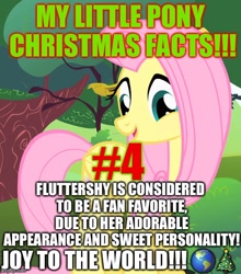 Size: 496x563 | Tagged: safe, imported from derpibooru, fluttershy, caption, christmas, christmas tree, earth, emoji, excessive exclamation marks, fan favorite, fun fact, holiday, image macro, my little pony christmas facts, text, tree