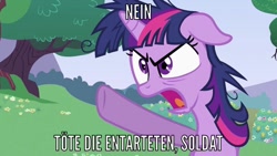 Size: 992x558 | Tagged: safe, edit, edited screencap, imported from derpibooru, screencap, twilight sparkle, lesson zero, caption, german, image macro, text, this will end in death