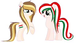 Size: 725x410 | Tagged: safe, alternate version, artist:anonymous, imported from derpibooru, earth pony, pony, country, female, hair, hungary, long, nation ponies, ponified, standing, vector