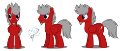 Size: 1707x718 | Tagged: safe, artist:flash equestria photography, imported from derpibooru, oc, oc only, oc:cloud weaver, pegasus, pony, cutie mark, male, reference sheet, show accurate, solo