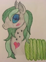 Size: 4032x3024 | Tagged: safe, artist:ice-star-pony, imported from derpibooru, oc, oc only, oc:silent whisper, changeling, blushing, changeling oc, green changeling, heart, solo, traditional art, wingding eyes