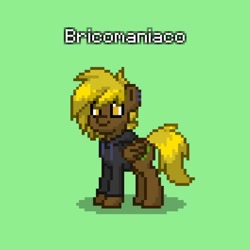 Size: 640x640 | Tagged: safe, imported from derpibooru, oc, oc only, oc:bricomaniaco, pegasus, pony, pony town, clothes, hoodie, male