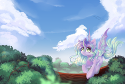 Size: 2600x1750 | Tagged: safe, artist:melloncollie-chan, imported from derpibooru, oc, oc only, dragon, pony, cloud, female, sky, solo, tree