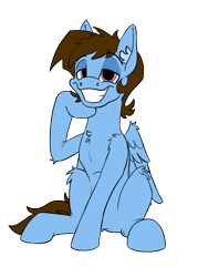 Size: 1500x2095 | Tagged: safe, artist:skydiggitydive, imported from derpibooru, oc, oc only, oc:sky dive, pegasus, pony, 2019 community collab, derpibooru community collaboration, fluffy, male, simple background, sitting, solo, transparent background