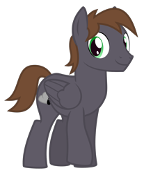 Size: 1280x1543 | Tagged: safe, artist:the smiling pony, imported from derpibooru, oc, oc only, oc:wingbeat, pegasus, pony, 2019 community collab, derpibooru community collaboration, male, simple background, smiling, solo, stallion, transparent background, vector