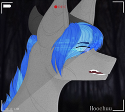 Size: 4000x3600 | Tagged: safe, artist:hoochuu, imported from derpibooru, oc, oc only, oc:martin bluefire, dracony, hybrid, pony, angry, blue hair, bust, camera, camera shot, glowing eyes, male, night, portrait, solo, ych result