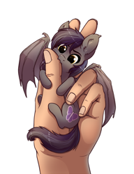 Size: 900x1170 | Tagged: safe, artist:28gooddays, imported from derpibooru, oc, oc only, oc:umbra tempestas, bat pony, human, pony, :3, bat pony oc, behaving like a bat, biting, cute, cute little fangs, cutie mark, daaaaaaaaaaaw, ear fluff, fangs, featured image, female, finger bite, hand, hnnng, holding a pony, hug, in goliath's palm, mare, micro, nom, ocbetes, simple background, smiling, smol, solo focus, spread wings, tiny, tiny ponies, underhoof, weapons-grade cute, white background, wings, ych result