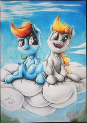 Size: 1849x2601 | Tagged: safe, artist:thatdreamerarts, imported from derpibooru, derpy hooves, rainbow dash, pegasus, pony, cloud, duo, female, folded wings, mare, mood contrast, on a cloud, sitting, traditional art, varying degrees of amusement, wings