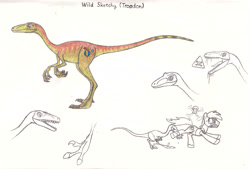 Size: 4465x3017 | Tagged: safe, artist:smcho1014, deleted from derpibooru, imported from derpibooru, oc, oc only, oc:any pony, oc:wild sketchy, dinosaur, pony, colored pencil drawing, concept art, male, stallion, traditional art, troodon