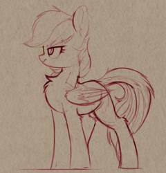 Size: 802x834 | Tagged: safe, artist:yoditax, imported from derpibooru, rainbow dash, pegasus, pony, female, monochrome, rainbow dash is not amused, sketch, solo, unamused