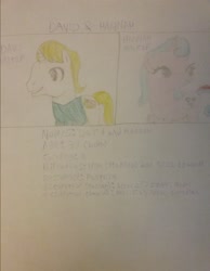 Size: 1944x2509 | Tagged: safe, artist:jaredking179, artist:jaredking779, imported from derpibooru, oc, oc only, oc:david walker, oc:hannah walker, pony, unicorn, female, male, mare, reference sheet, stallion, traditional art