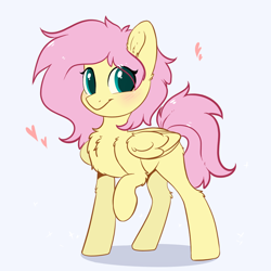 Size: 1024x1024 | Tagged: safe, artist:kebchach, imported from derpibooru, fluttershy, pegasus, pony, :t, alternate hairstyle, blushing, chest fluff, cute, ear fluff, female, fluffy, folded wings, heart, leg fluff, looking at you, mare, messy mane, missing cutie mark, raised hoof, shyabetes, simple background, smiling, solo, standing, three quarter view, white background, wing fluff, wings