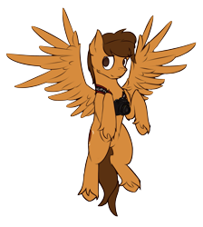 Size: 1959x2190 | Tagged: safe, artist:toanderic, imported from derpibooru, oc, oc only, oc:toanderic, pegasus, pony, 2019 community collab, derpibooru community collaboration, camera, flying, male, simple background, solo, stallion, transparent background