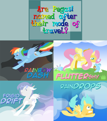 Size: 2135x2404 | Tagged: safe, artist:moonbeamwhim, imported from derpibooru, fluttershy, rainbow dash, sunshower raindrops, oc, oc:frigid drift, pegasus, pony, rabbit, ask pun, ask, cloud, falling, female, mare