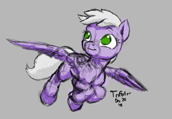 Size: 2331x1622 | Tagged: safe, artist:trefoiler, imported from derpibooru, sweet pop, pegasus, pony, cute, female, filly, flying, foal, gray background, simple background, sketch, solo