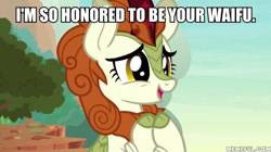 Size: 600x337 | Tagged: safe, edit, edited screencap, imported from derpibooru, screencap, autumn blaze, kirin, sounds of silence, awwtumn blaze, bronybait, caption, cute, image macro, memeful.com, text, text edit, waifu