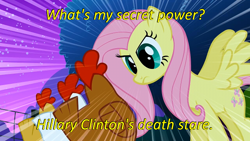 Size: 640x360 | Tagged: safe, edit, edited screencap, imported from derpibooru, screencap, fluttershy, bird, chicken, stare master, animal, caption, cards against humanity, hillary clinton, image macro, meme, politics, shitposting, spread wings, stare, text, the stare, wings