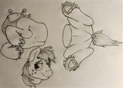 Size: 4360x3121 | Tagged: safe, artist:uliovka, imported from derpibooru, big macintosh, pony, detachable head, disembodied head, half, headless, male, modular, pencil drawing, sketch, solo, stallion, traditional art