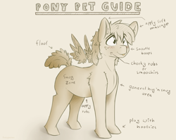 Size: 1810x1440 | Tagged: safe, artist:fuzzypones, imported from derpibooru, oc, oc only, unnamed oc, pegasus, pony, :p, anatomy, anatomy guide, cute, ear fluff, floating wings, fluffy tail, guide, petting guide, silly, solo, tongue out
