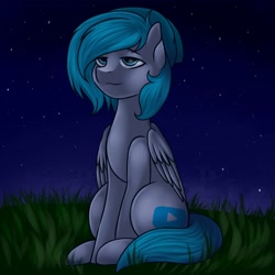 Size: 2160x2160 | Tagged: safe, artist:romablueberry, imported from derpibooru, oc, oc only, pegasus, pony, grass, lidded eyes, night, sitting, solo, stars