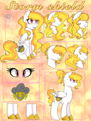 Size: 2832x3776 | Tagged: artist needed, safe, imported from derpibooru, oc, oc only, oc:storm shield, pegasus, pony, horse shoes, reference sheet, solo