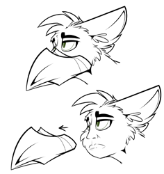 Size: 667x706 | Tagged: safe, artist:ralek, edit, imported from derpibooru, oc, oc only, oc:ralek, griffon, 2 panel comic, beak, cheek fluff, comic, cursed image, detachable beak, ear fluff, eared griffon, floppy ears, fluffy, frown, human face, lidded eyes, lineart, male, mask, meme, partial color, ponified animal photo, simple background, sketch, slit eyes, slit pupils, solo, wat, white background