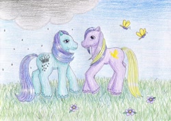 Size: 1024x725 | Tagged: safe, artist:normaleeinsane, imported from derpibooru, prince firefly, princess silver rain, butterfly, cloud, duo, flower, g2, grass, rain, traditional art