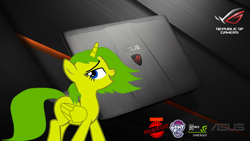 Size: 1920x1080 | Tagged: safe, imported from derpibooru, asus, nvidia, republic of gamers