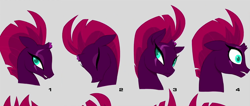 Size: 1694x720 | Tagged: safe, imported from derpibooru, fizzlepop berrytwist, tempest shadow, my little pony: the movie, broken horn, bust, concept art, expressions, eye scar, eyes closed, portrait, scar, youtube link