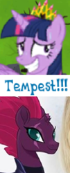 Size: 316x784 | Tagged: safe, artist:horsesplease, imported from derpibooru, tempest shadow, twilight sparkle, alicorn, my little pony: the movie, caption, expand dong, exploitable meme, gameloft, image macro, implied tempestlight, meme, needs more jpeg, pretty pretty tempest, twilight sparkle (alicorn)