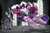 Size: 1024x683 | Tagged: safe, artist:lytlethelemur, imported from derpibooru, fhtng th§ ¿nsp§kbl, oleander, twilight sparkle, alicorn, classical unicorn, pony, unicorn, them's fightin' herds, book, cloven hooves, crossover, curved horn, dark magic, fight, fred, leonine tail, magic, oleander (tfh), open mouth, ram, spellbook, teeth, temple, twilight sparkle (alicorn), unicornomicon, unshorn fetlocks