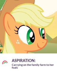 Size: 327x424 | Tagged: safe, imported from derpibooru, applejack, aspiration, mommajack, official, open season, text, wholesome