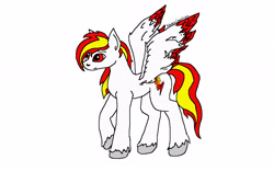 Size: 6400x4000 | Tagged: safe, anonymous artist, imported from derpibooru, oc, oc only, oc:fiery lightning, pegasus, pony, colored wings, colored wingtips, simple background, solo, unshorn fetlocks, white background