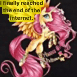 Size: 480x480 | Tagged: safe, imported from derpibooru, fluttershy, animated, female, sound, webm, why, youtube poop